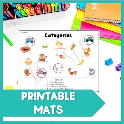 Category Sorting Activities, Basic Concept Learning for Preschool Speech Therapy