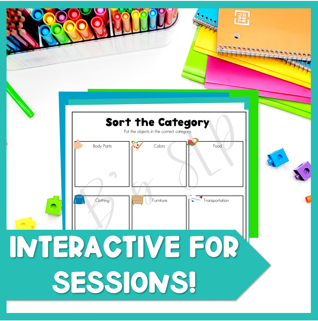 Category Sorting Objects Mat and Classifying Activities Speech Therapy