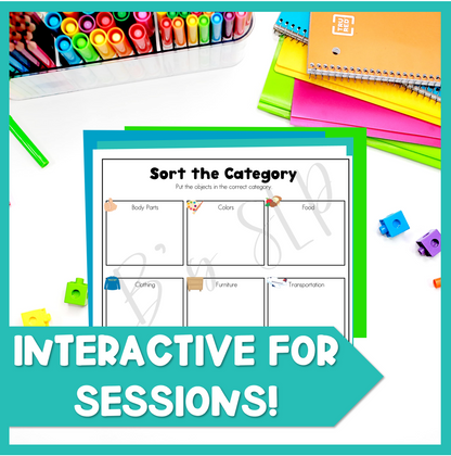 Category Sorting Objects Mat and Classifying Activities Speech Therapy